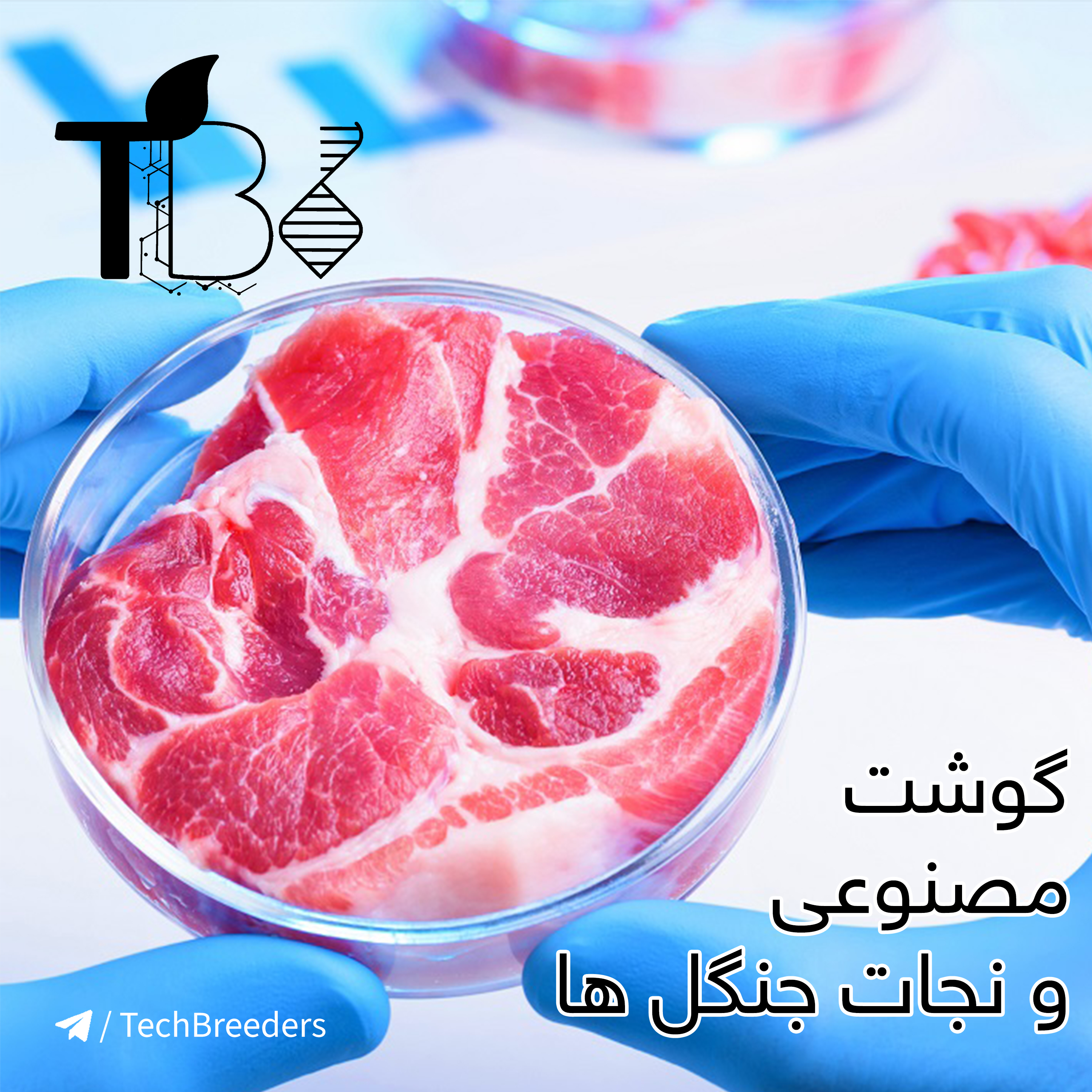 8.گوشت مصنوعی چیست و چطور جنگل ها را نجات میدهد؟