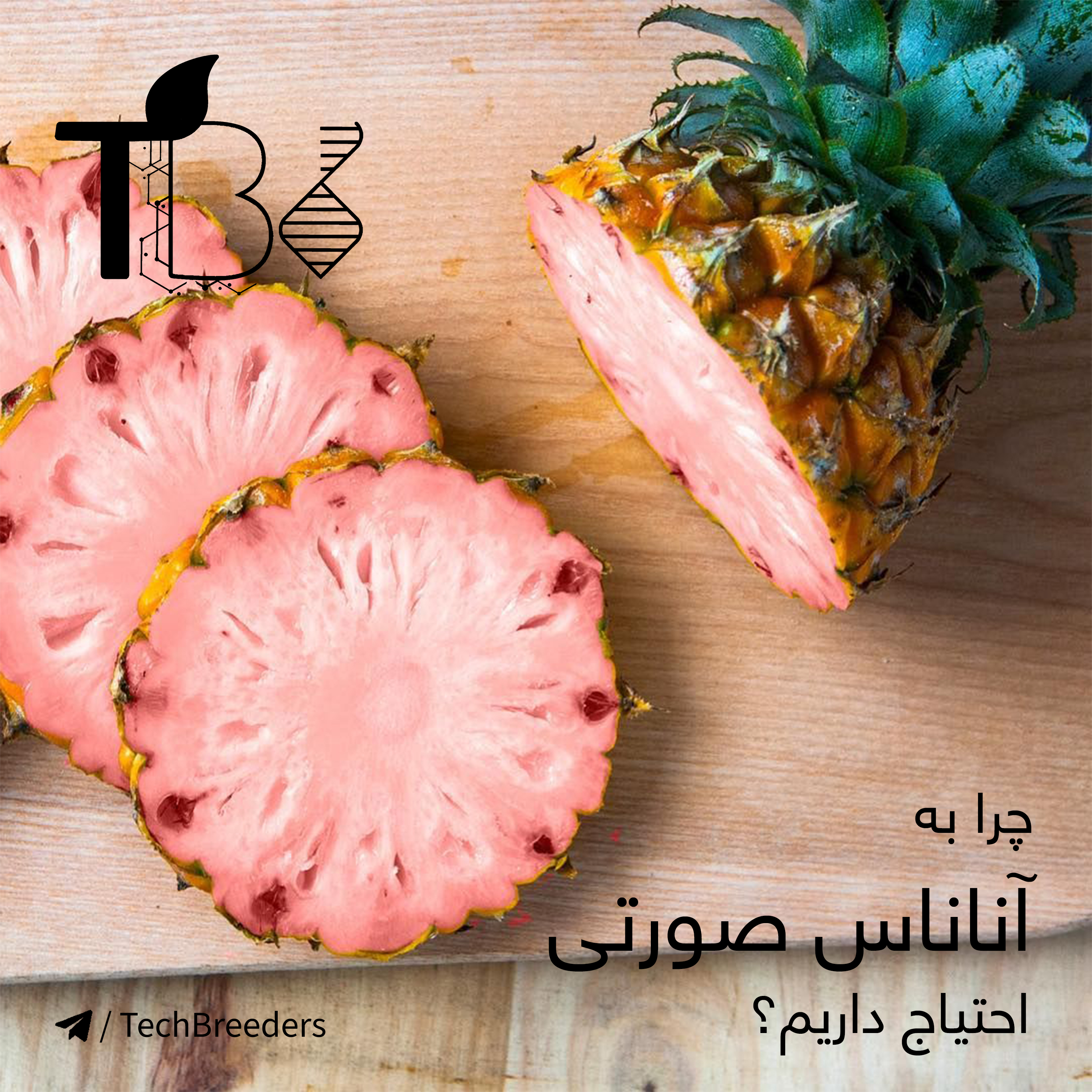 3.چرا به آناناس های صورتی احتیاج داریم؟
