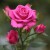زهرا ابوالفتحی